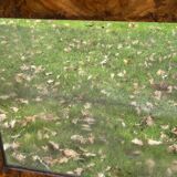 Antique mirror with elm burl molding, heavily demercurized, in its current condition