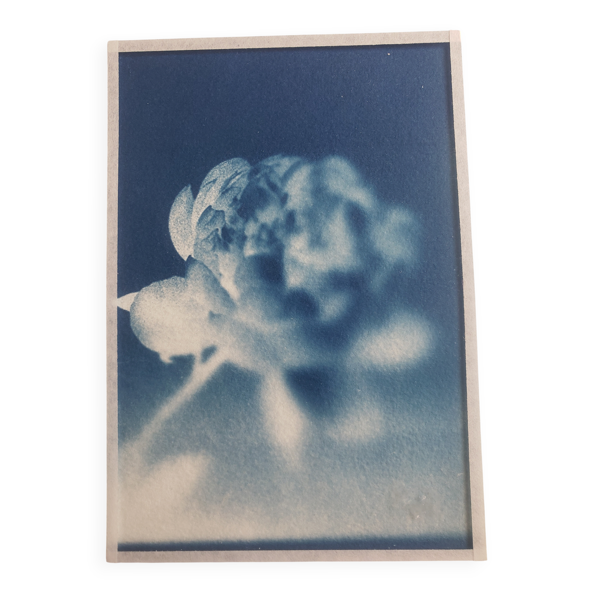 Cyanotype frame