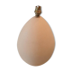 Brussels porcelain lamp ostrich egg