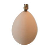 Lampe porcelaine de Bruxelles  œuf  d autruche