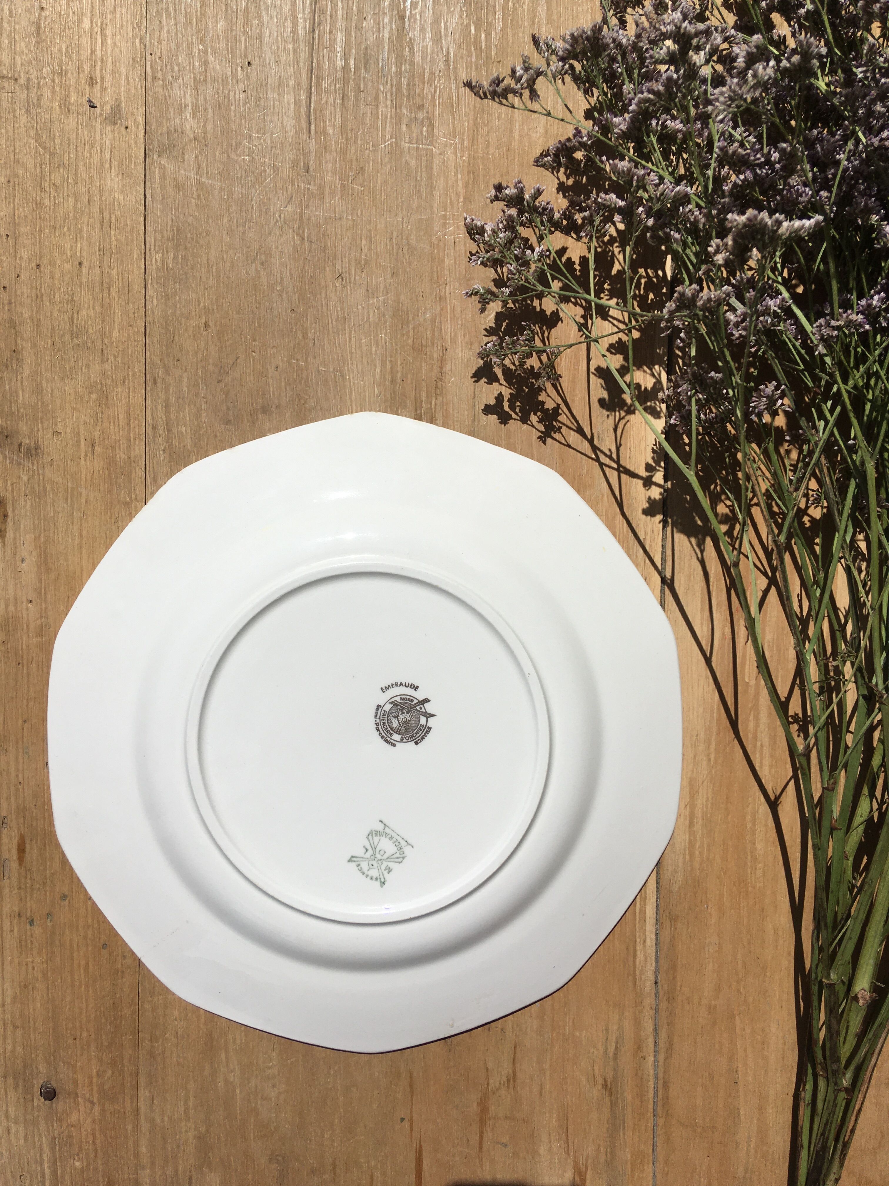6 flat mint plates and golden flowers