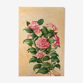 Watercolor camellias vintage