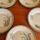 Set of 5 Saint Amandinoise Muguet Plates