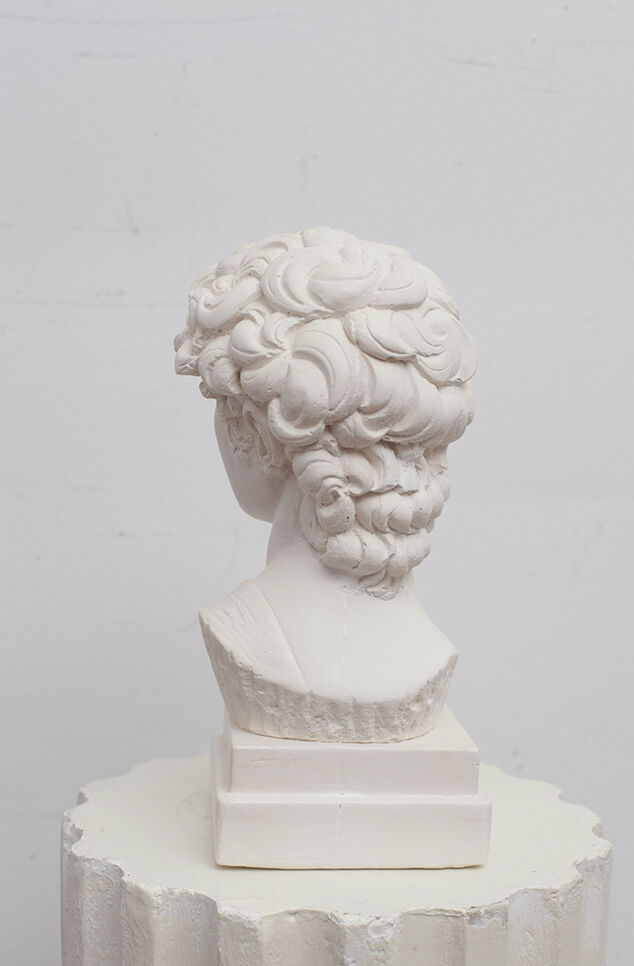 David head in white plaster