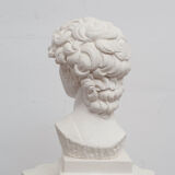 David head in white plaster