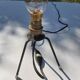 Rispal rodhoïd vintage lamp 50s