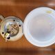 Plafonnier en opaline blanche