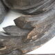 Massive carved wood 17th  oak