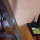 Lampe
