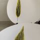 Set of 6 plates and 2 dishes.