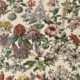 Lithograph engraving on flowers (catalpa) - 1900