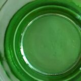 Lot of 5 cockroaches