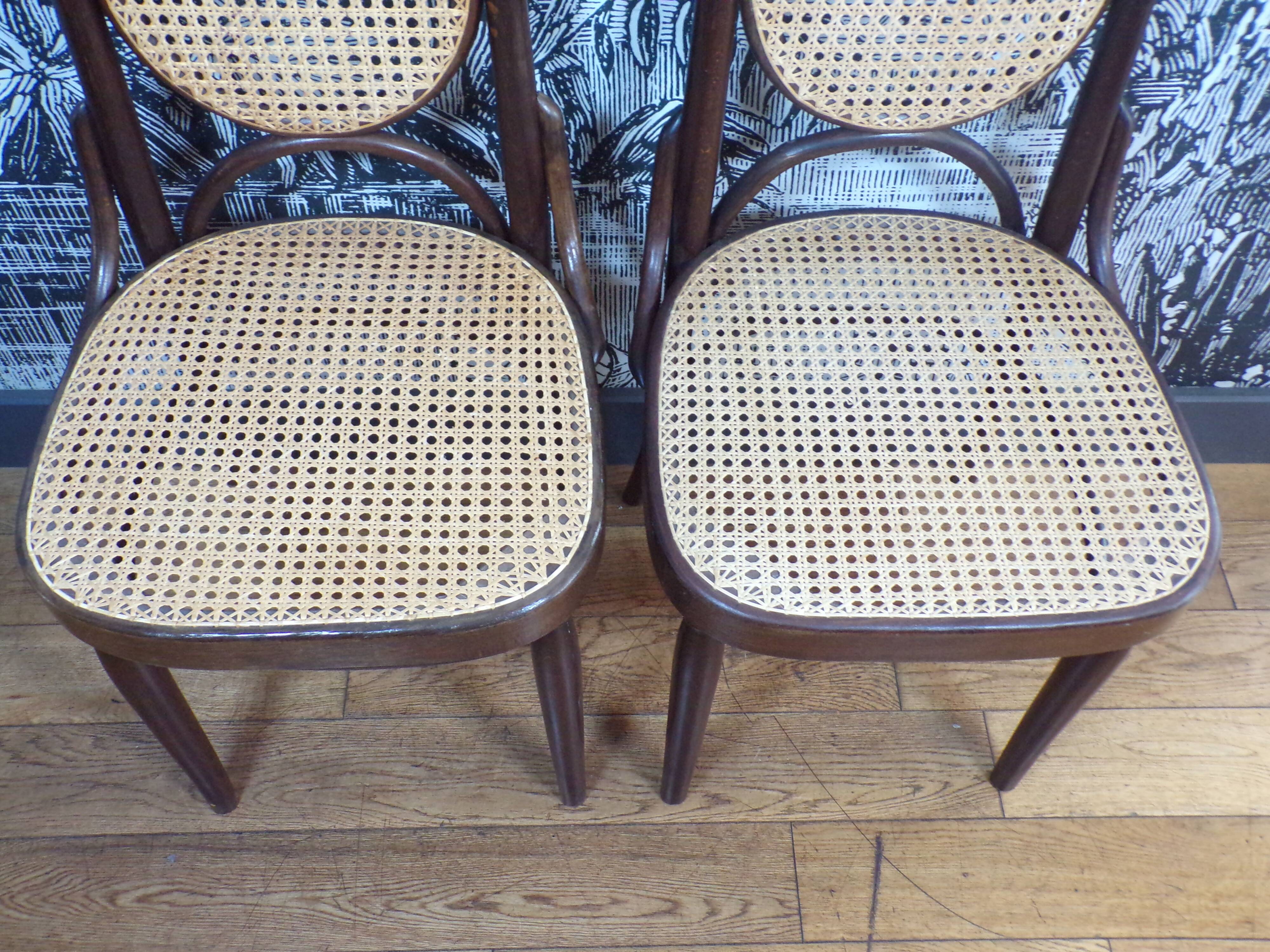 Pair of Thonet 207R chairs in bentwood