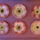 Service 6 assiettes barbotine fleurs d’églantine Delphine Massier Vallauris
