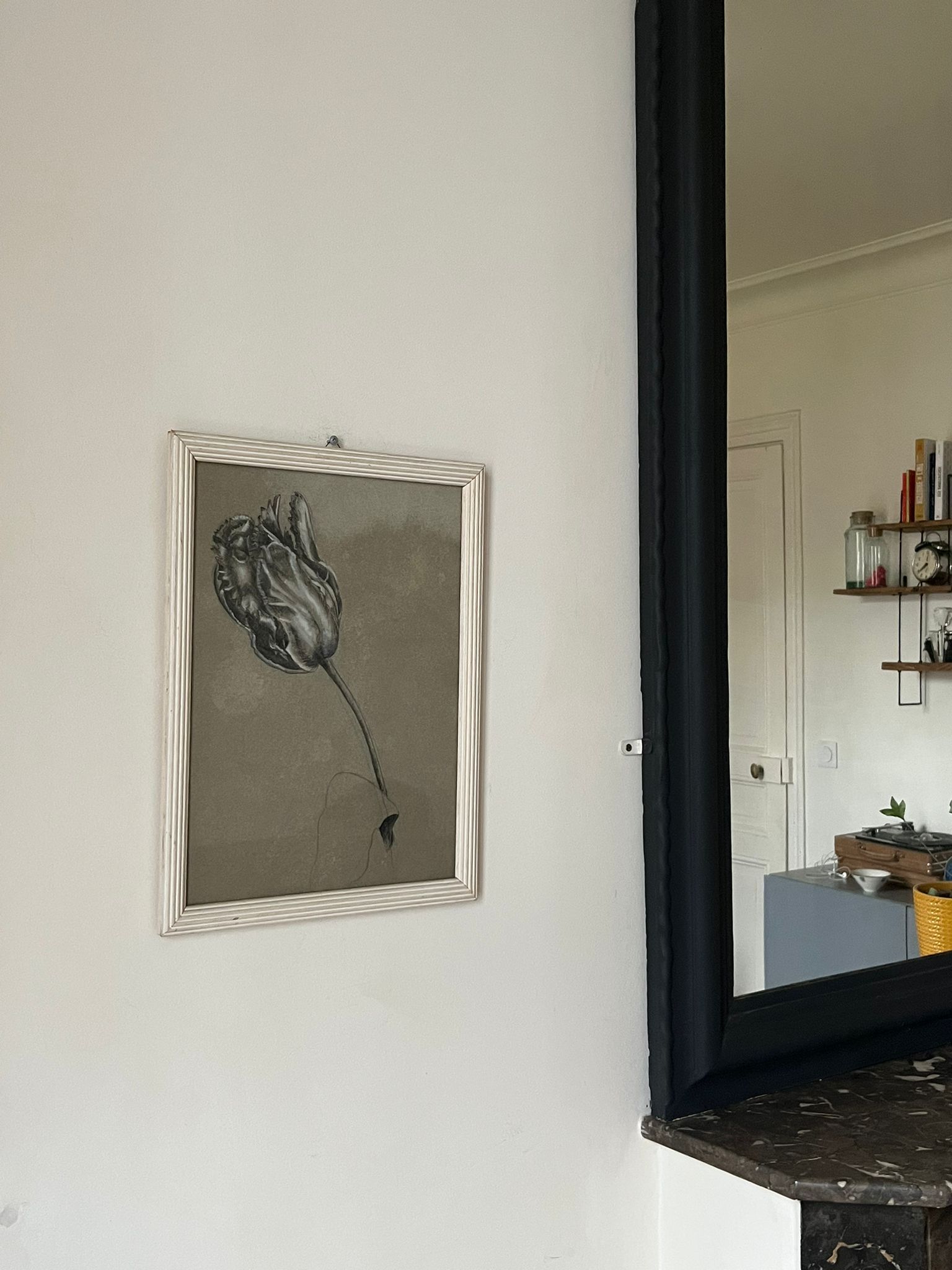 Etude documentaire d'une fleur, drawing, Dumant, 1951