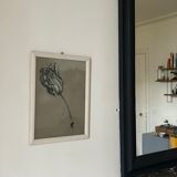 Etude documentaire d'une fleur, drawing, Dumant, 1951