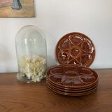 Set of 6 shell plates