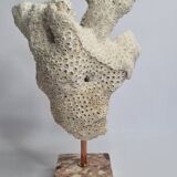 Old white coral branch on pedestal, 27 cm