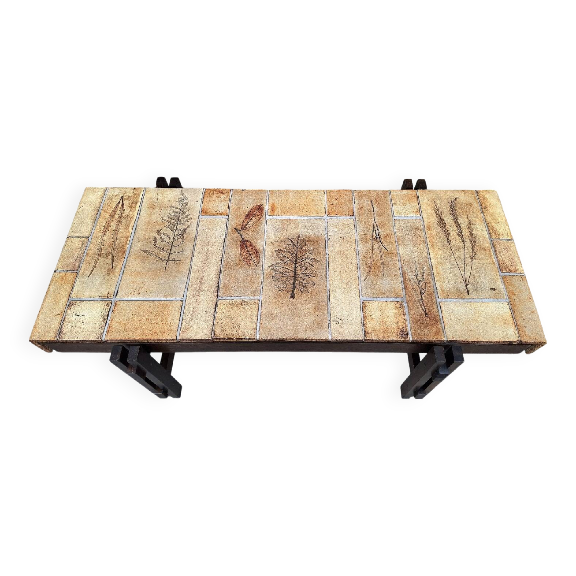 Roger CAPRON table basse  herbier