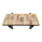 Roger CAPRON herbarium coffee table