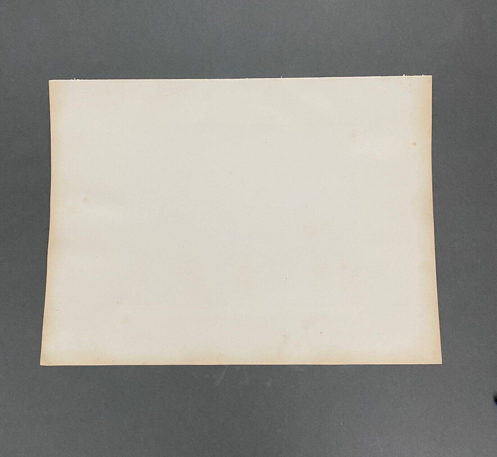 Photo Vienne Gare du Nord 19th century albumen laminated cardboard