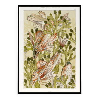 “Rouget” poster, after an Art Nouveau lithograph from 1897