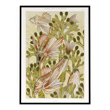 Poster "Rouget", based on an Art Nouveau lithograph from 1897.