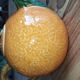 Vintage ceramic teapot in the shape of an orange – 1950s