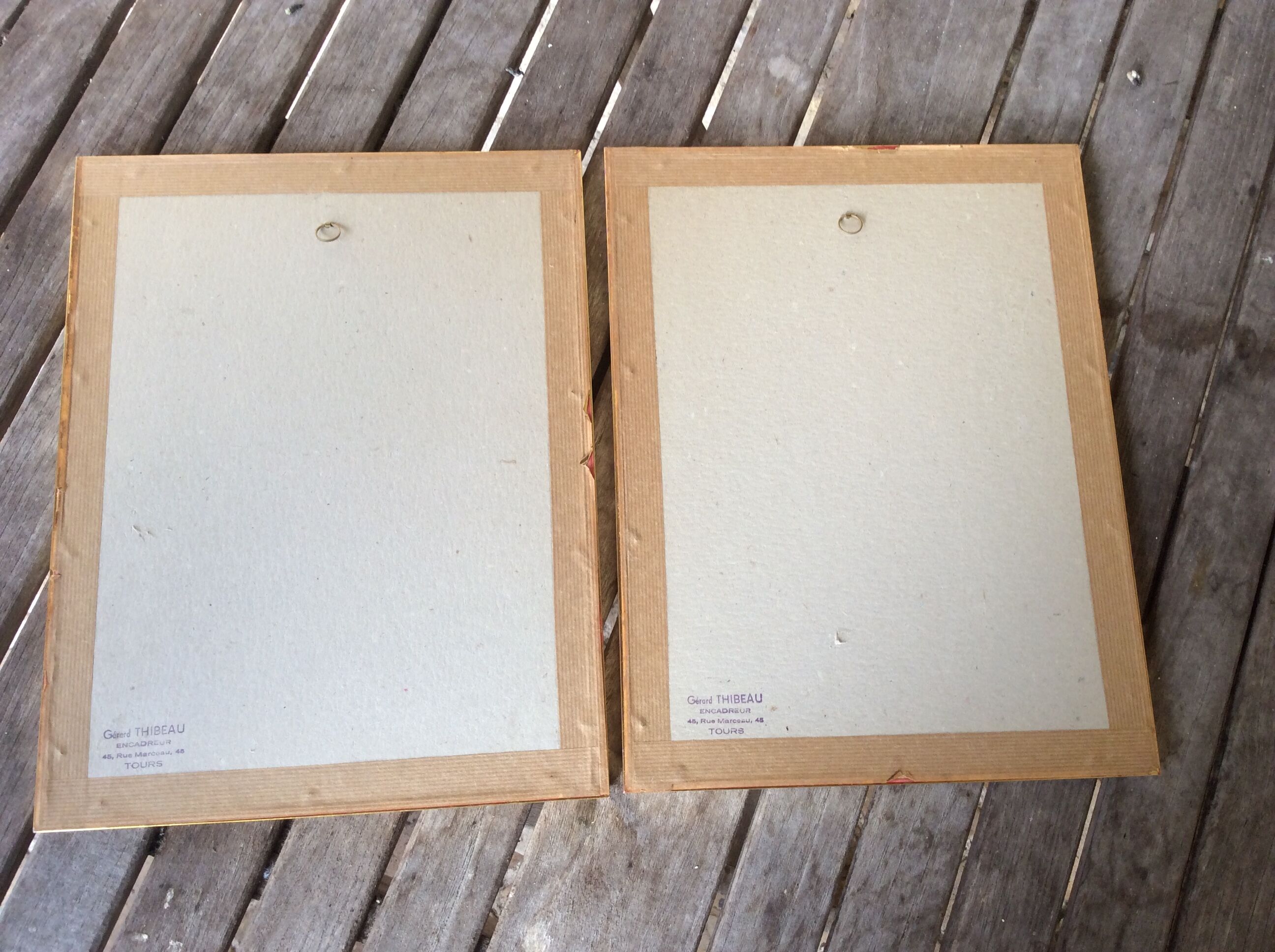 Illustration Feared pink Bengal