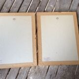 Illustration Feared pink Bengal