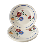 Lot 4 plates old dessert Lunéville Art Nouveau