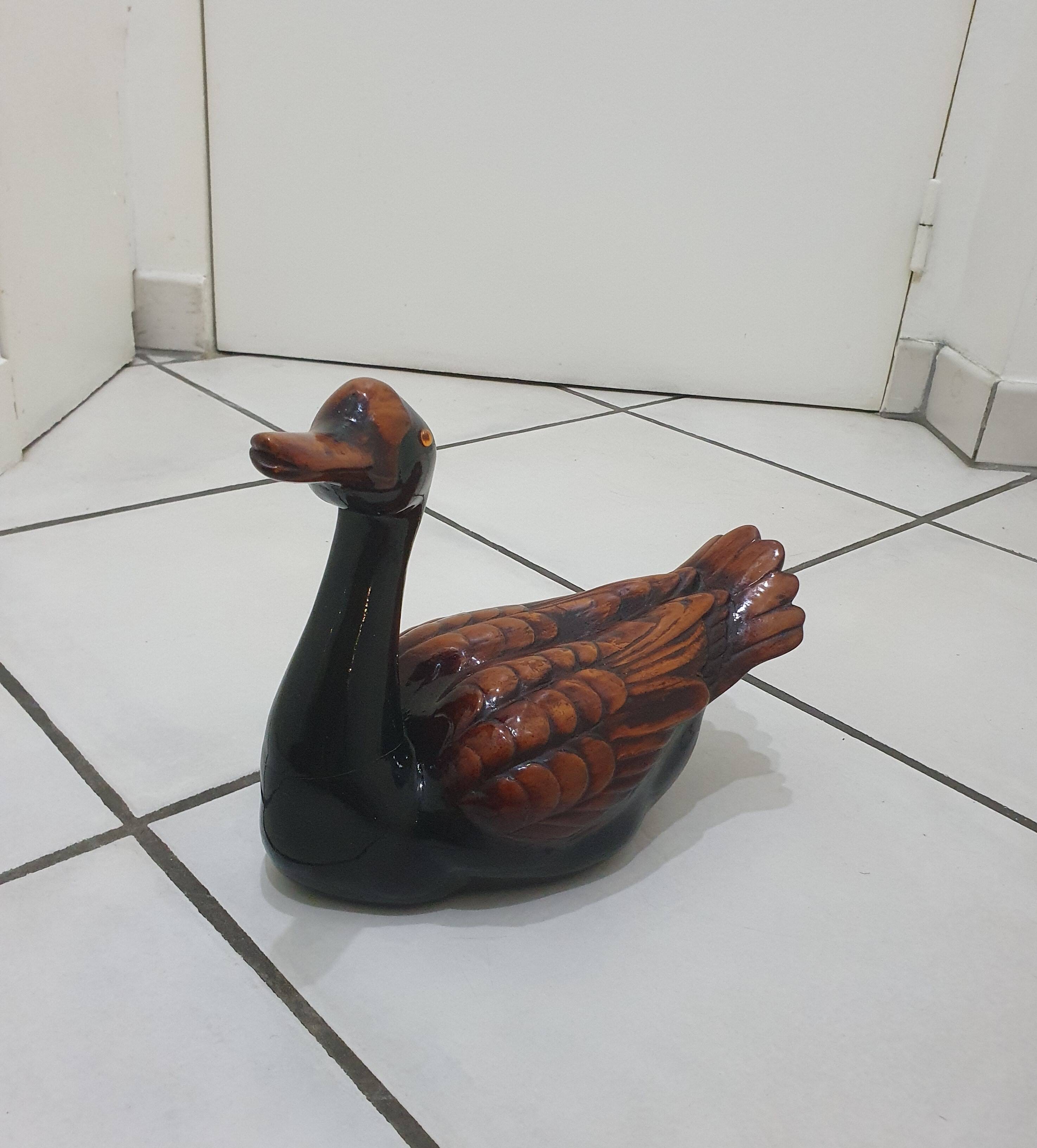 Large brown and black duck