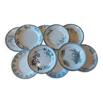 Lot 10 flat plates iron earth blue green tones