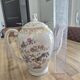 Limoges coffee pot/teapot with nature motif