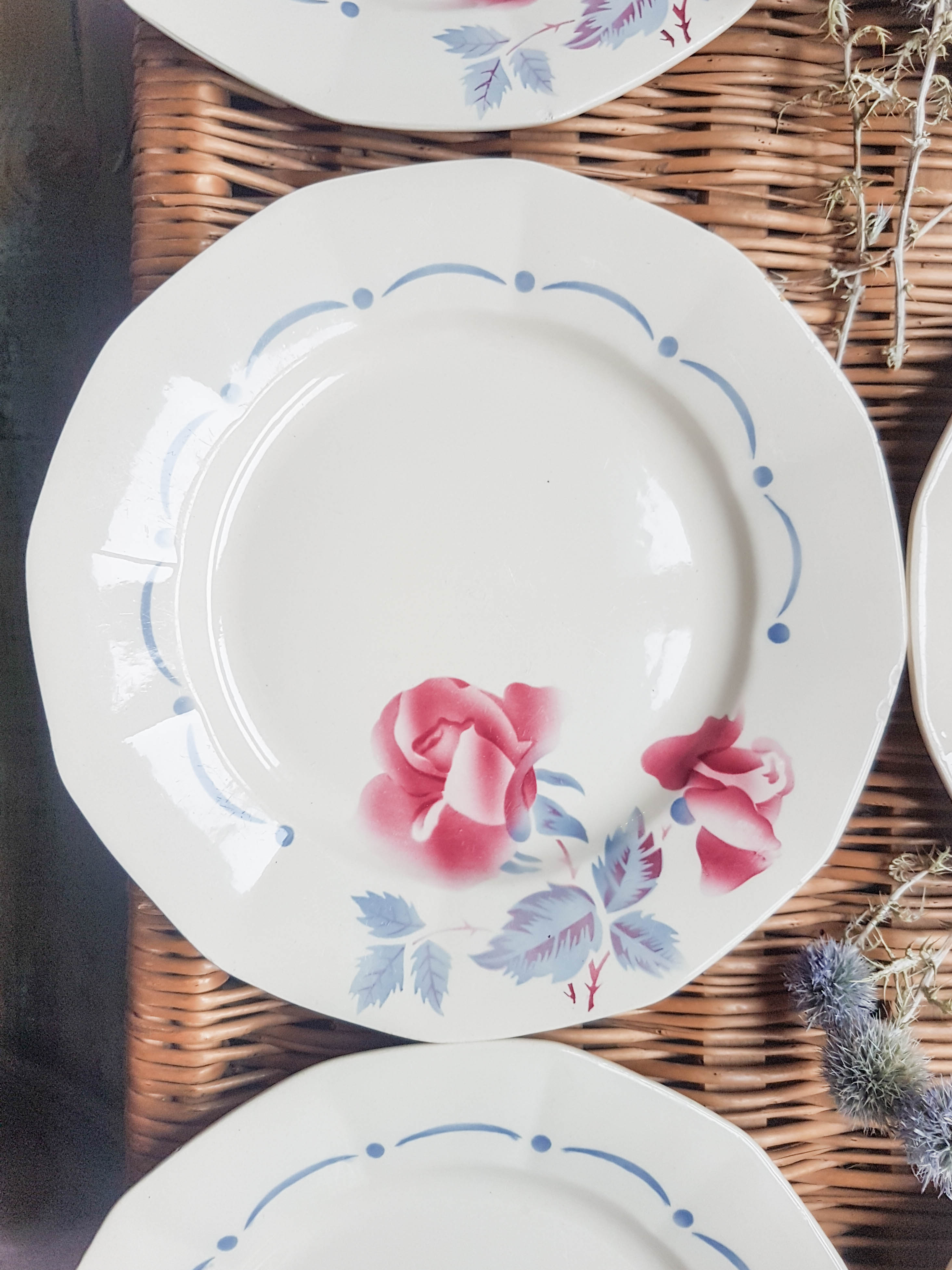 Lot de 6 assiettes plates "boulogne" Digoin Sarreguemines