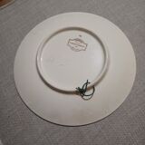 Sarguemine plates
