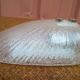 murano glass shell wall light