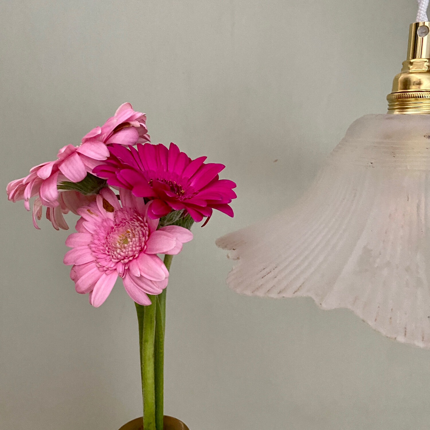 Vintage frosted glass lampshade pendant light
