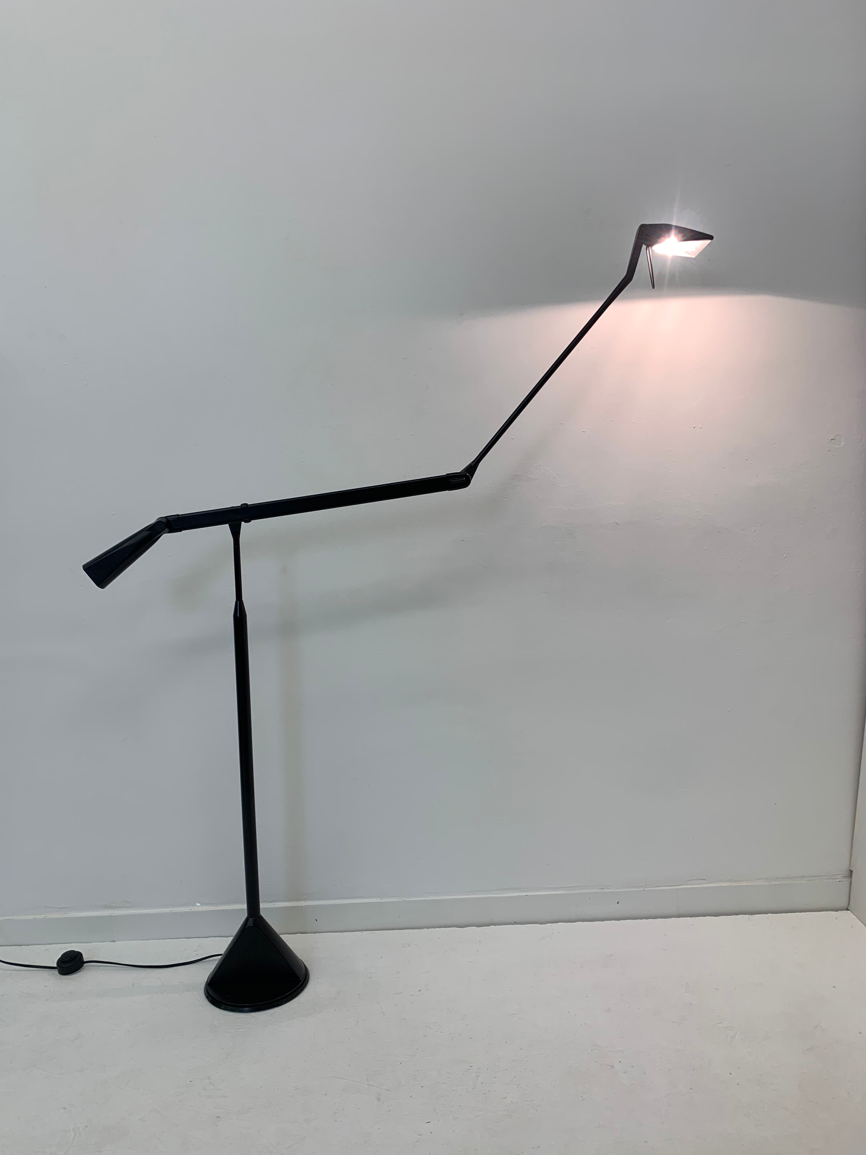 Zelig Terra Floor Lamp by Walter Monici for Lumina, 1980s
