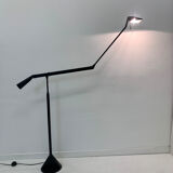 Zelig Terra Floor Lamp by Walter Monici for Lumina, 1980s