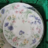 Plate services