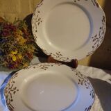 Duo de grands plats anciens Sarreguemines terre de fer