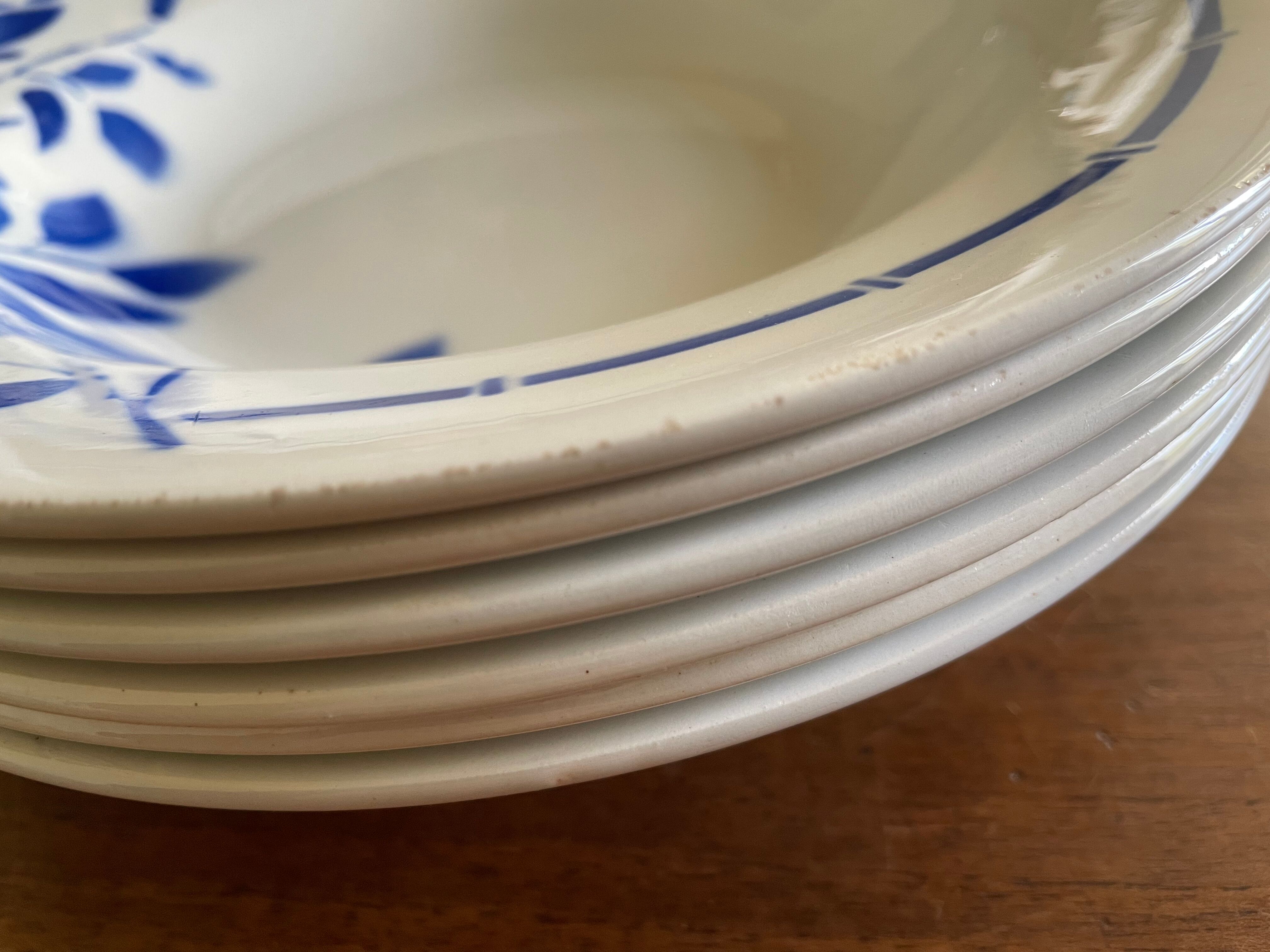 Hollow plates ceranord saint amand blue flower