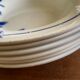 Hollow plates ceranord saint amand blue flower