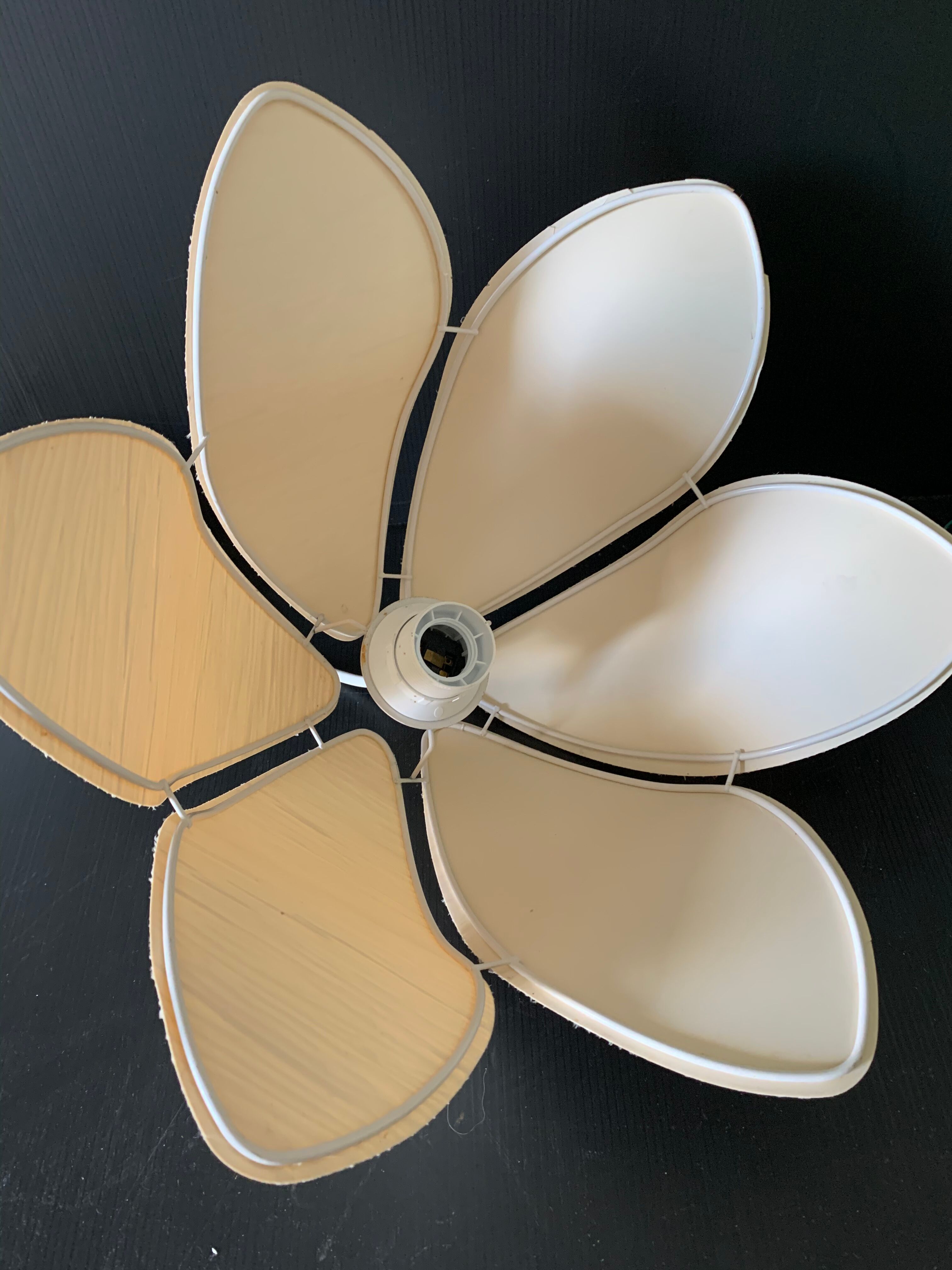 Day abat lotus flower petals