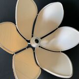 Day abat lotus flower petals