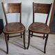 Pair of chairs Jacob & Josef Kohn Vienna 1900/1910 Art Nouveau