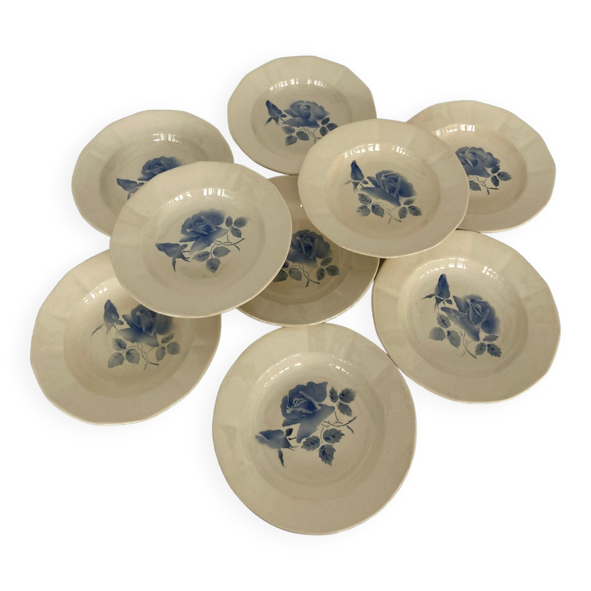 Set of 9 hollow plates Blue Roses Digoin Sarreguemines