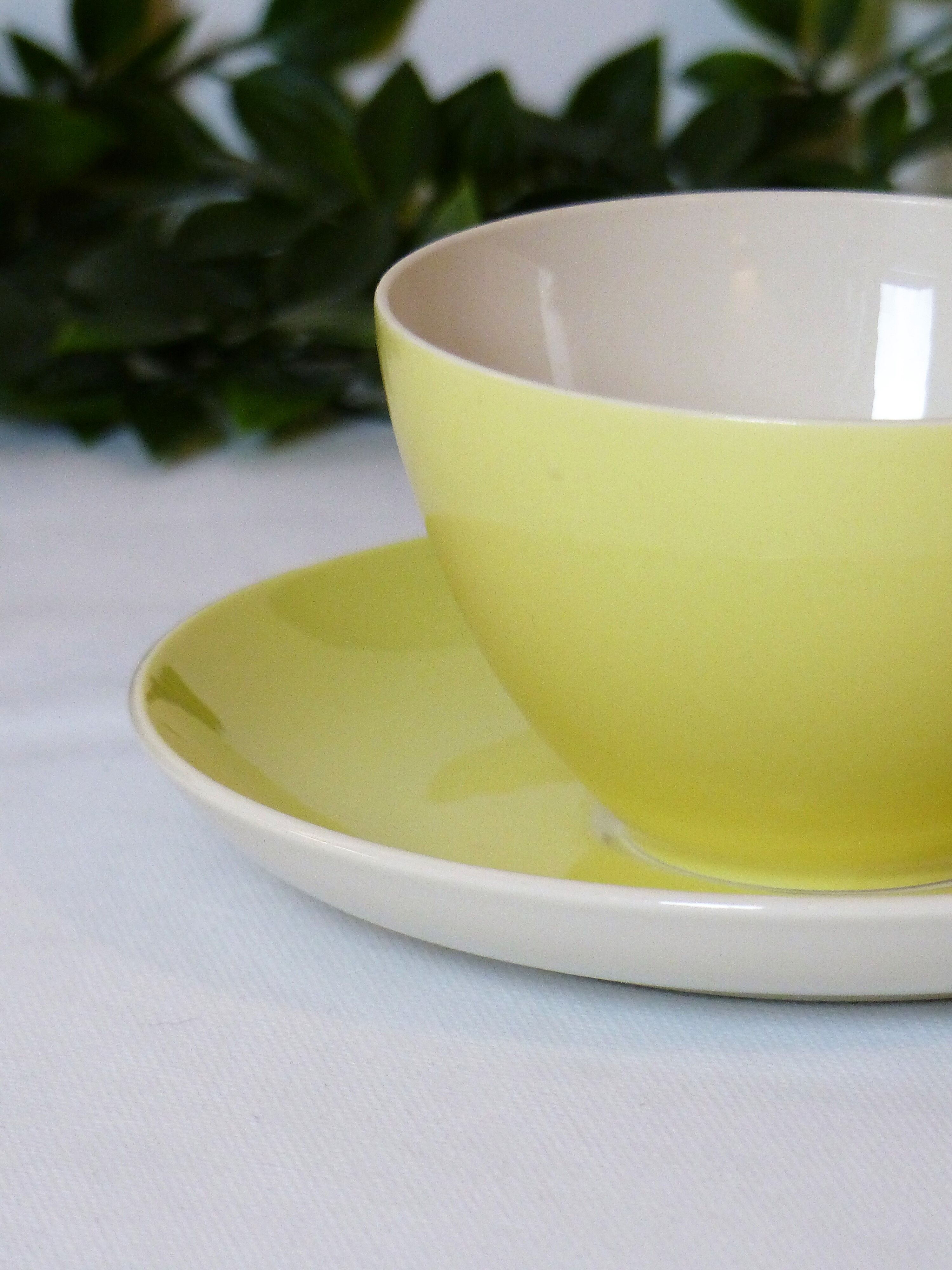 Mug and under cup Villeroy and Boch