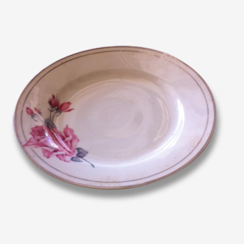 Dish porcelain